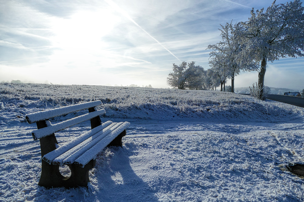 Rauhreif im Erzgebirge