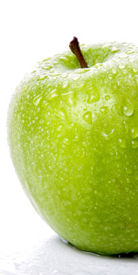 Fasten nach Buchinger